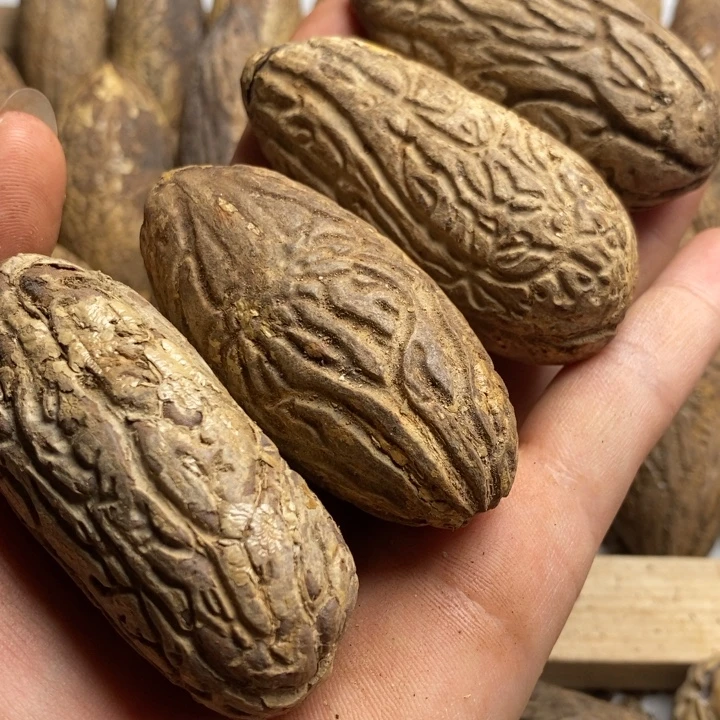 米***儿把件千眼菩提菩提