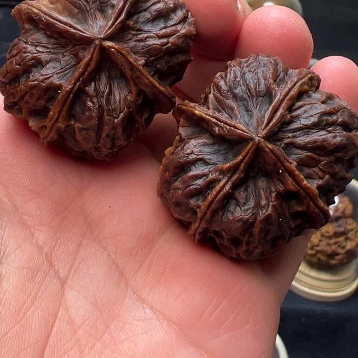文玩核桃把件西南大刺41mm