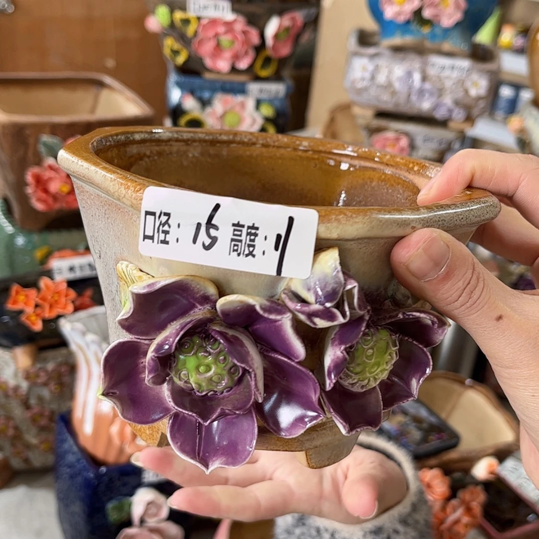 【闪购商品】红陶福利