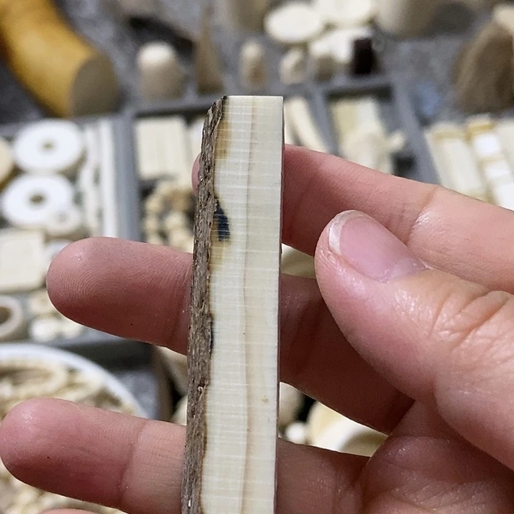 无非金属猛犸牙碎料
