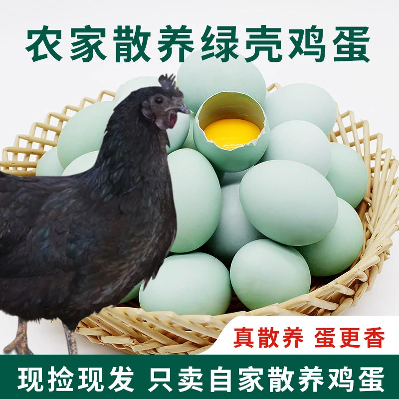 十枚 试吃，正宗原产地散养绿壳乌鸡蛋土鸡蛋（粉绿混发）新鲜美味