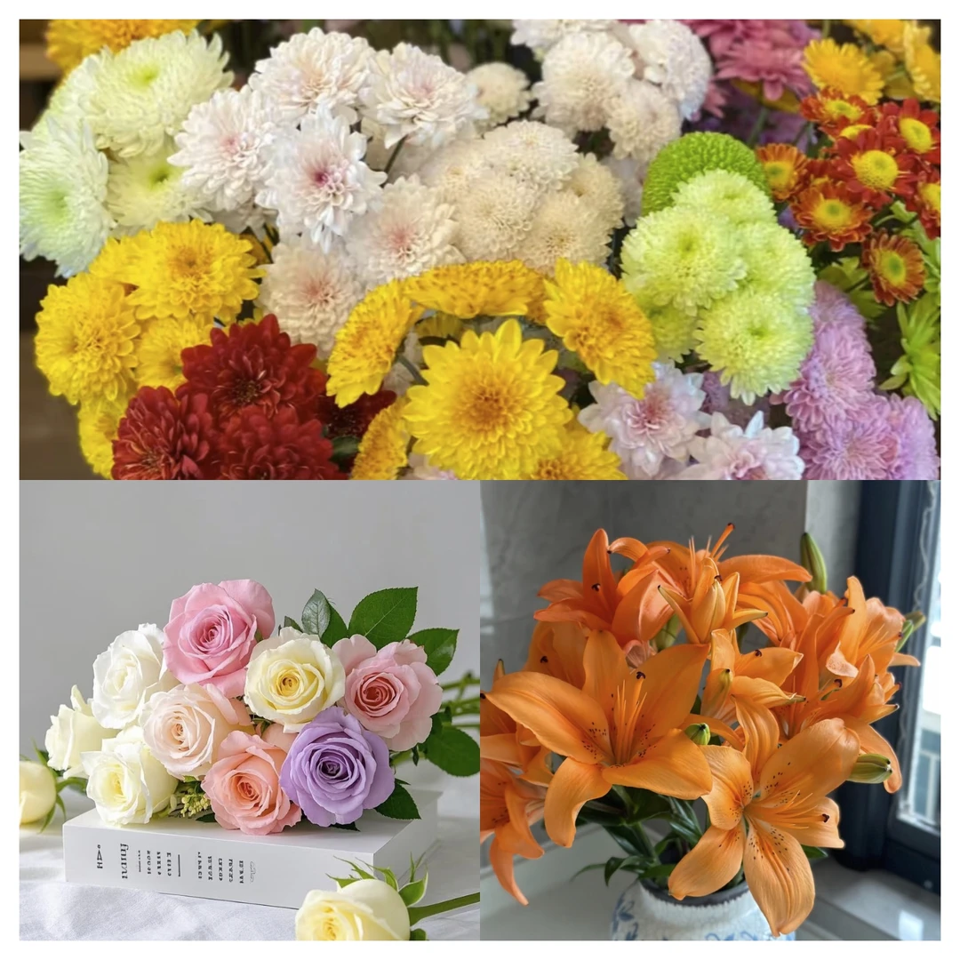 粉丝鲜花组合    居家办公优选《东北基地发货》