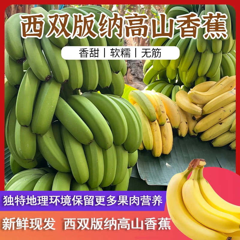 【正宗】西双版纳高山甜香蕉5/9斤新鲜香甜软糯高山香蕉新鲜现发