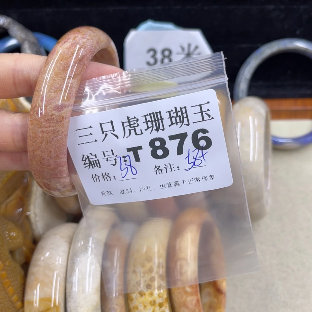 ****】硅化珊瑚（珊瑚玉）h未镶嵌