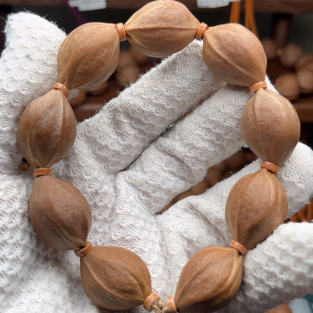 橄榄核手串/手链2028鲨鱼背