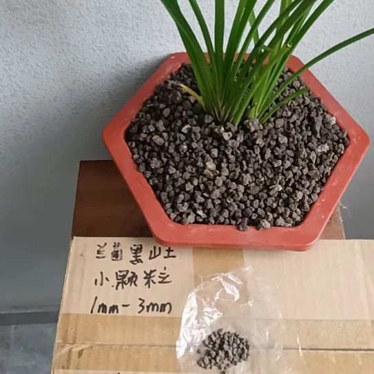 C***F兰菌黑山土小颗粒6.6斤