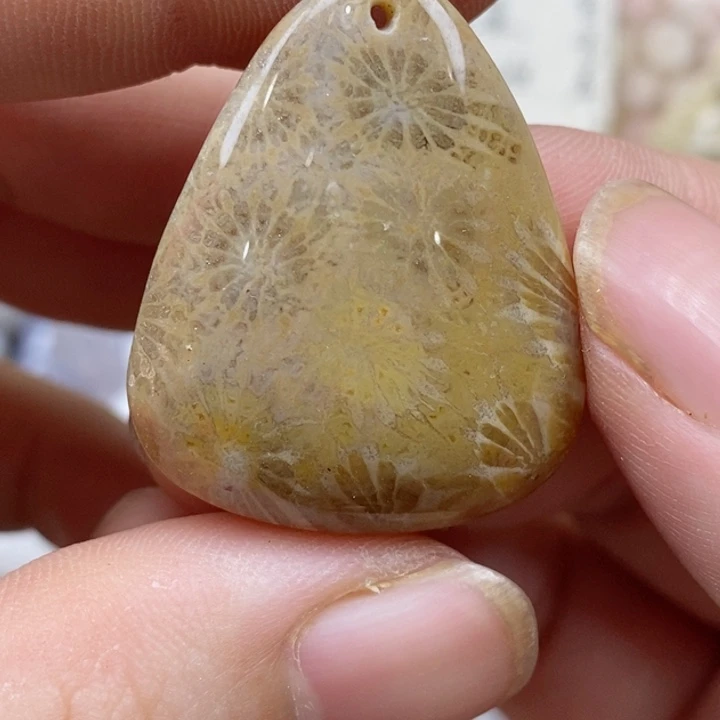 颈饰未镶嵌硅化珊瑚（珊瑚玉）小