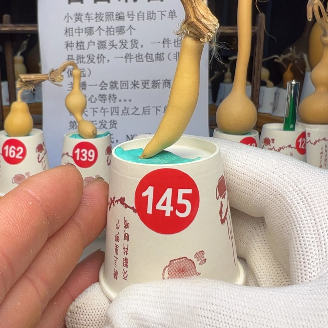 闪电购自助下单编号145