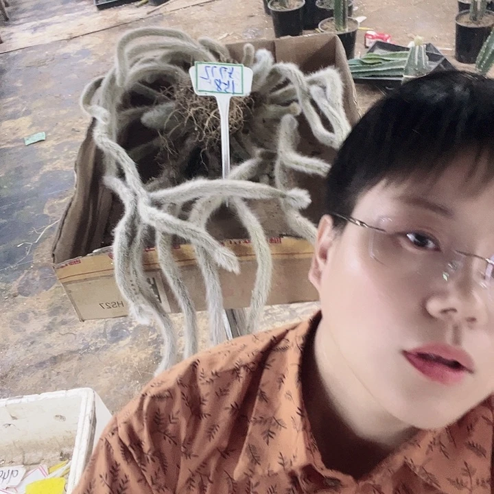 拖土发货无售后不支持退货退款