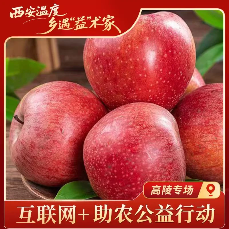 【助农甄选】粉面香甜陕西高山苹果