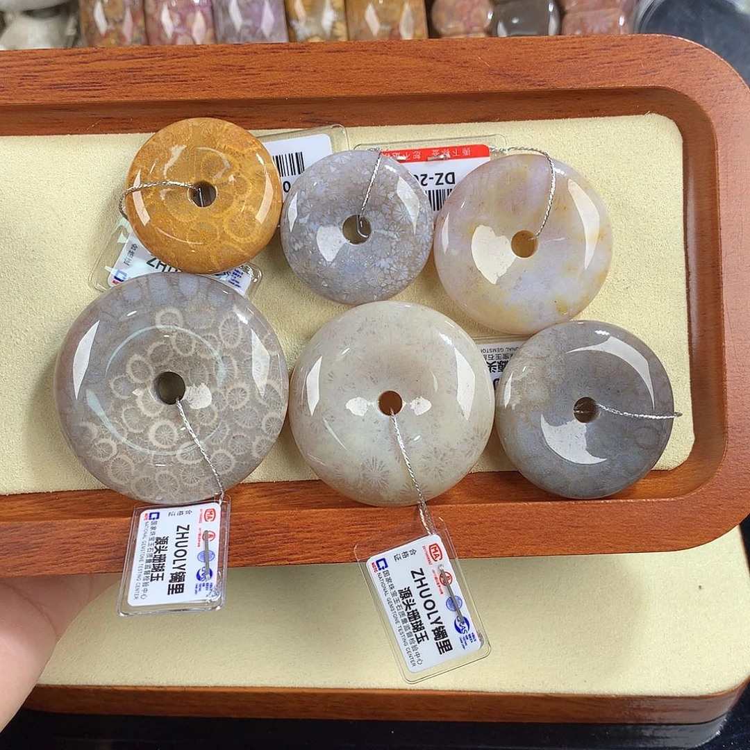 硅化珊瑚（珊瑚玉）未镶嵌吊坠(赠链)4号上新20米一个可挑