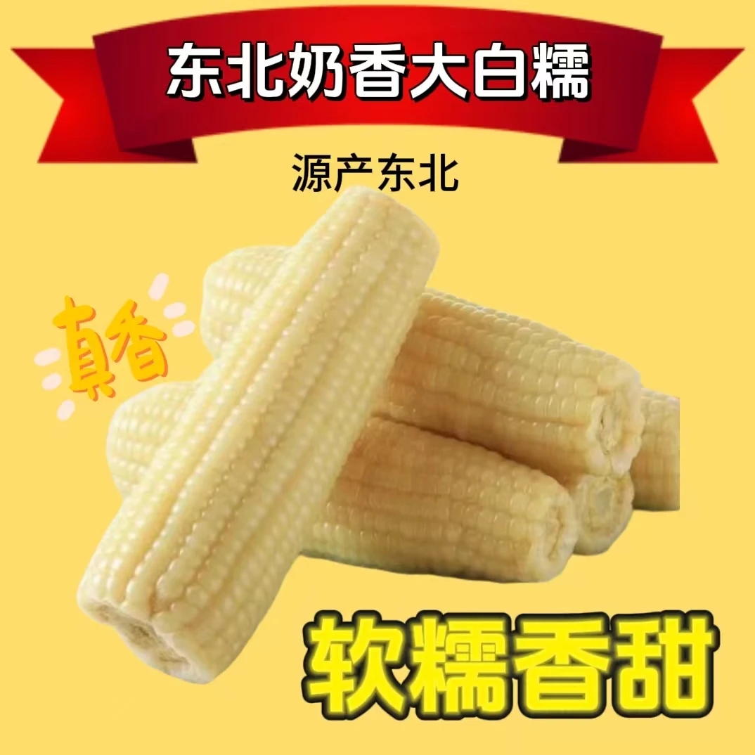 【试吃3根】正宗东北白糯玉米铝箔装 10根6斤/箱 软糯香甜拉丝营养T
