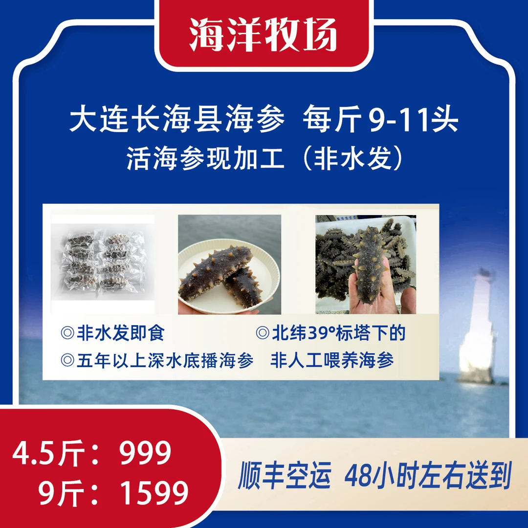 【冷蒸即食海参】大连长海县 鲜活海参现加工 即食海参 （9-11头）