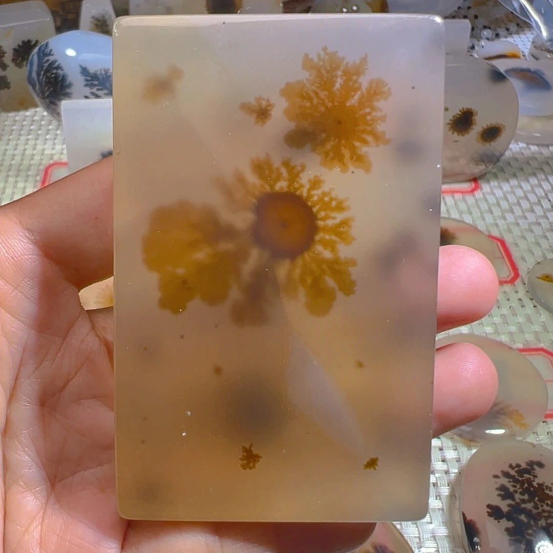 未镶嵌颈饰玛瑙/玉髓