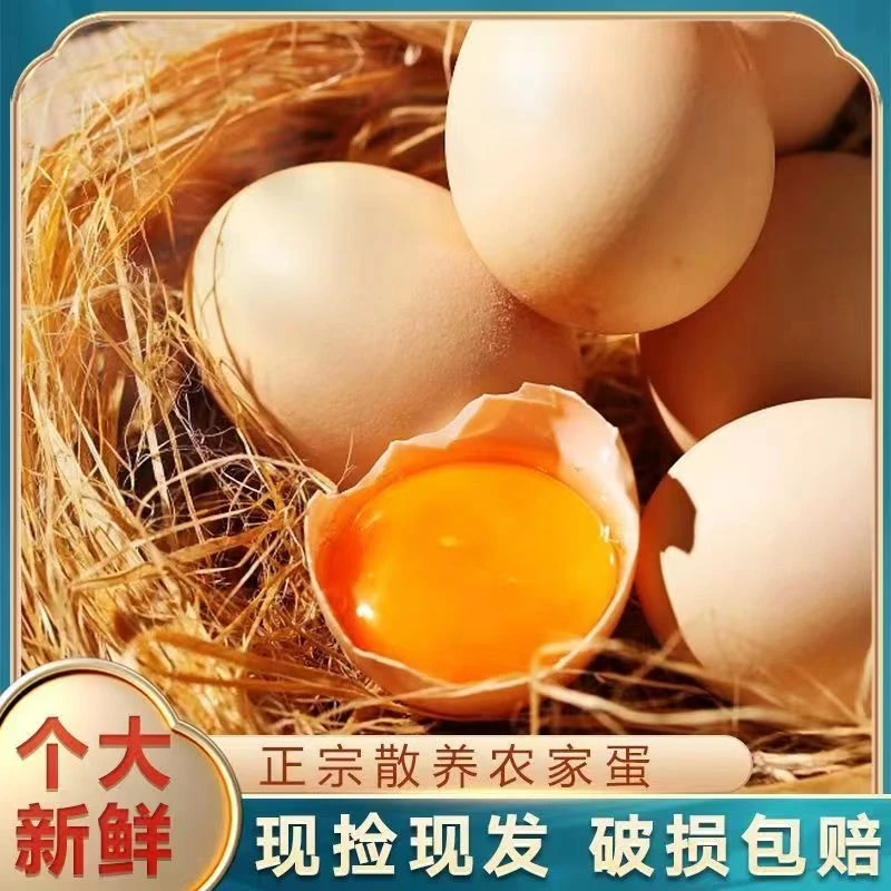 农家散养土鸡蛋谷物鸡蛋发单枚40-50g 共发50枚 现捡现发