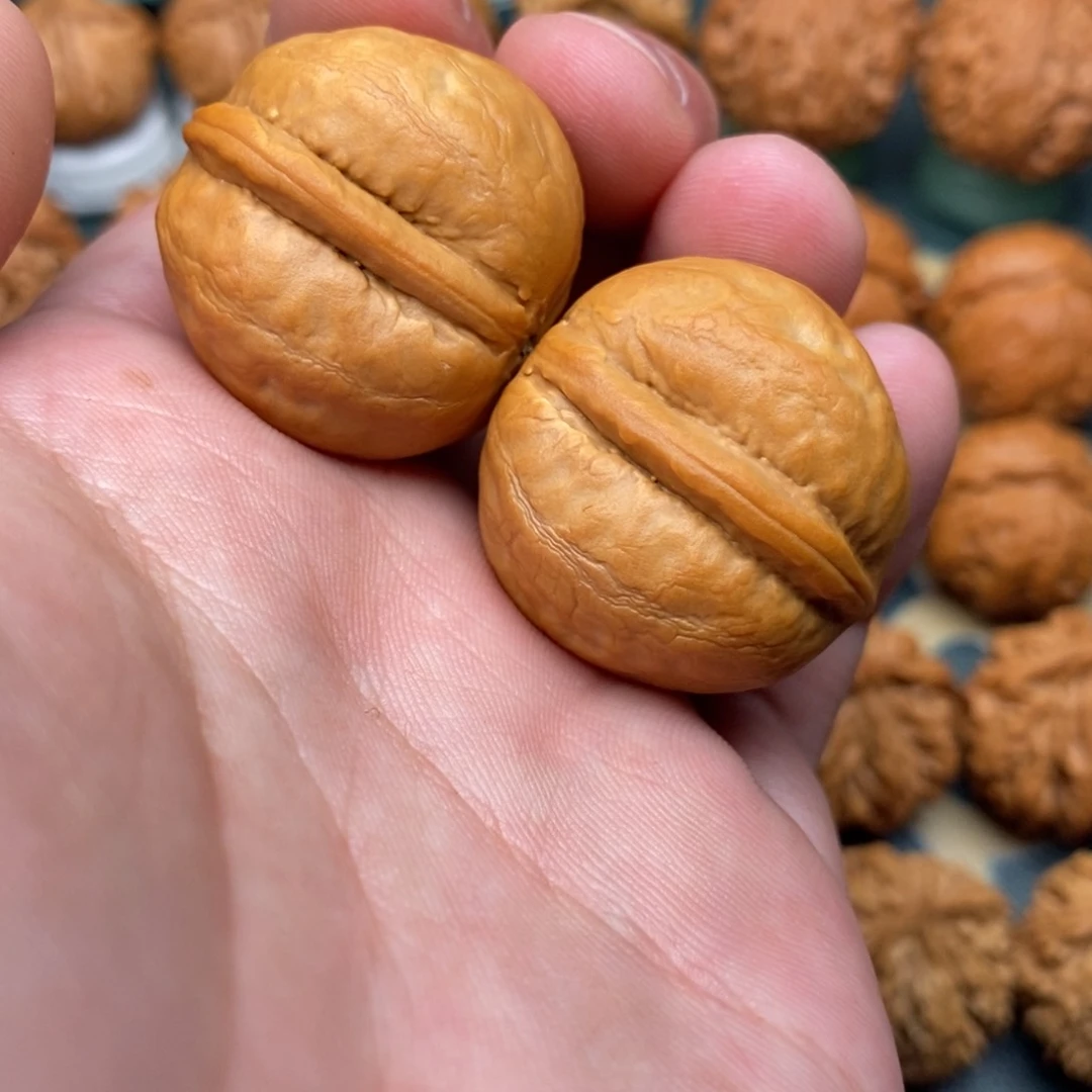 文玩核桃把件海豚