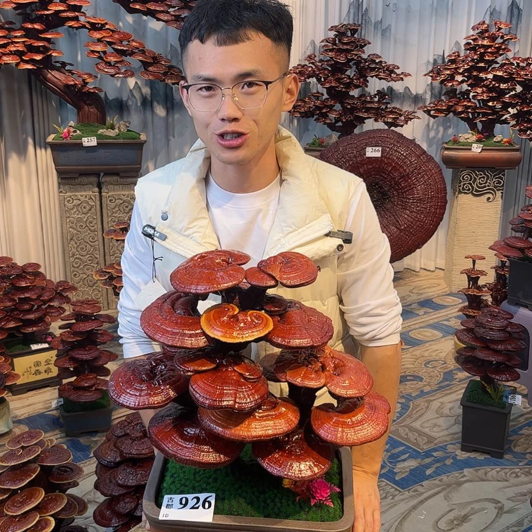 无花朵888888888888