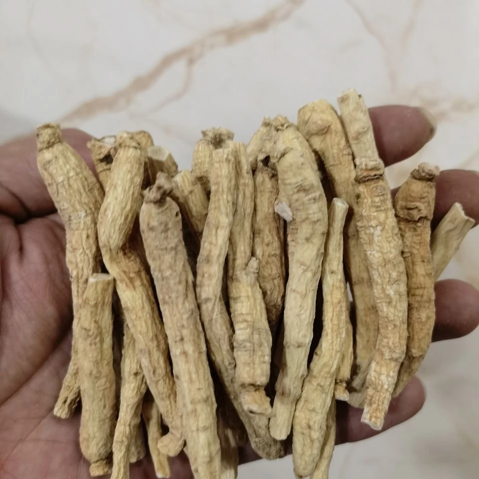 西洋参条 改价链接 包邮