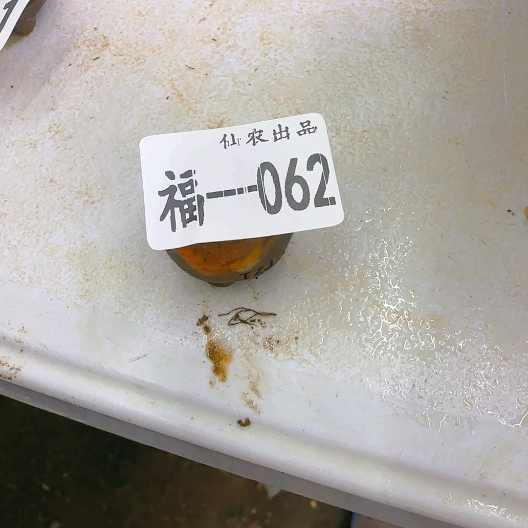 张*然盆一个，062、仙农出品