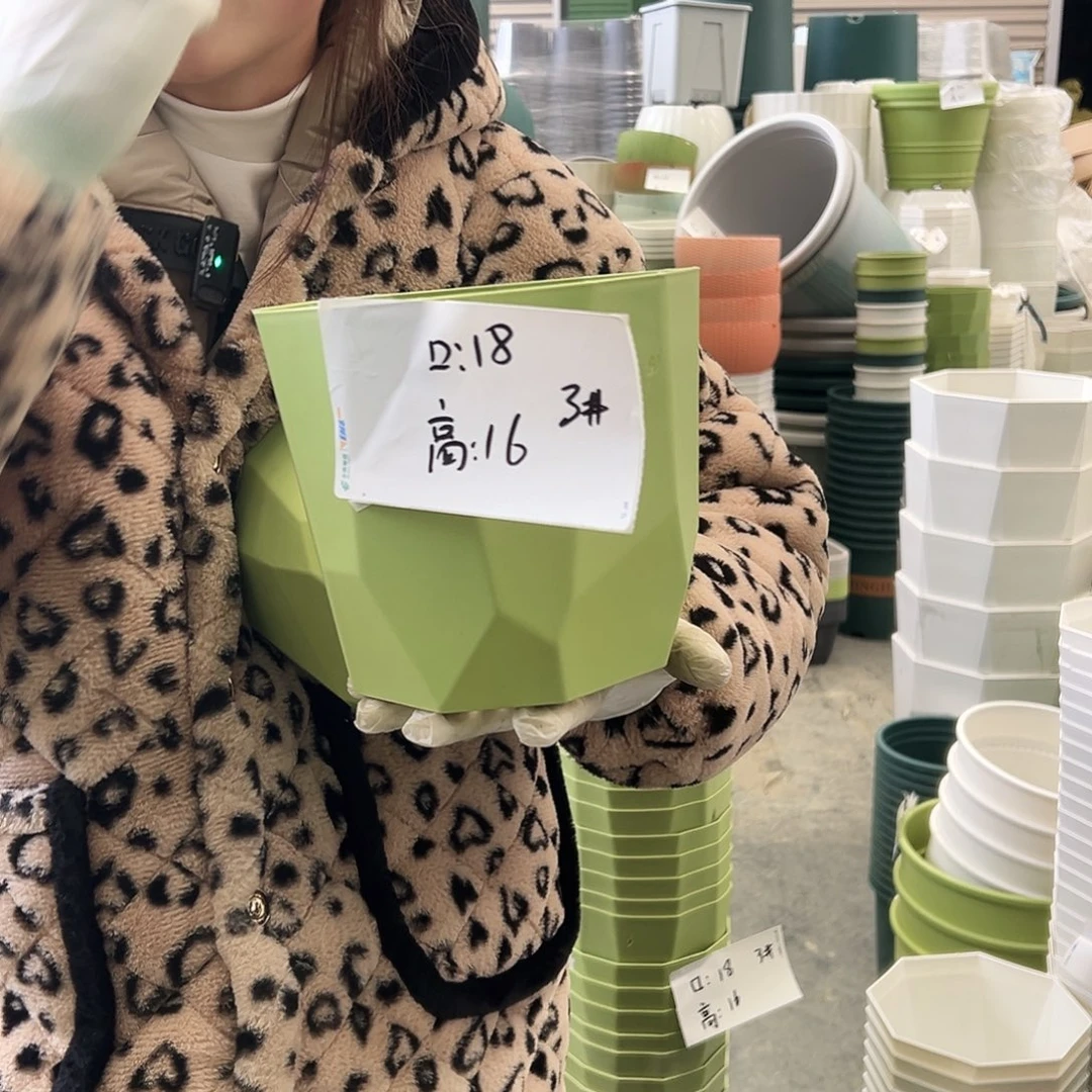 瑕疵雅典盆3#果绿8个无托