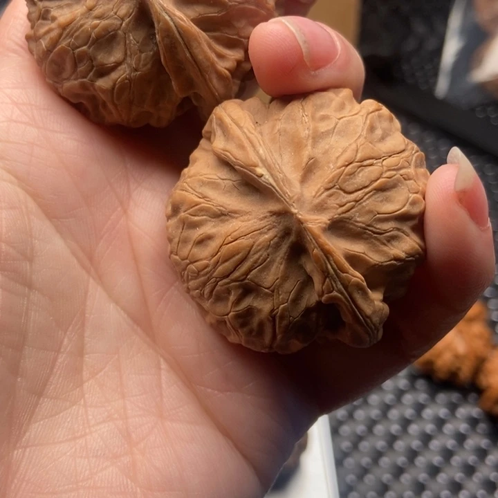 （***）大大大大大大大宫灯