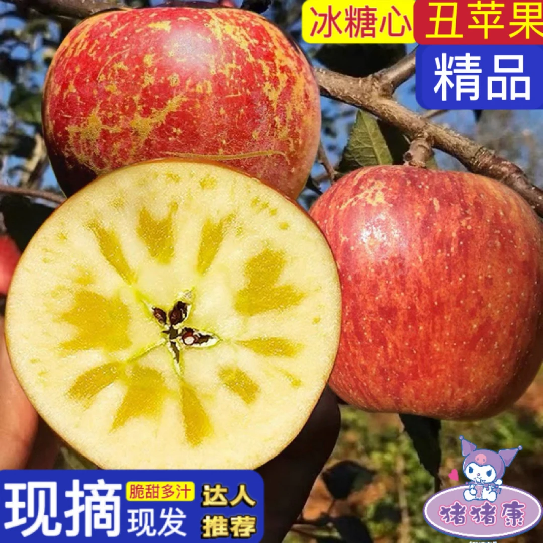 【猪猪康】四川正宗丑苹果大凉山盐源汉源脆甜多汁孕妇小孩带皮吃