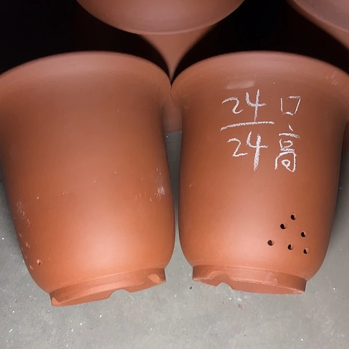 周三周四这是在深圳市中心
