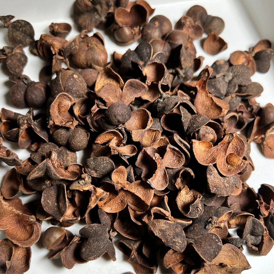 （100克）六堡茶果   1999年陈化 六通六堡茶