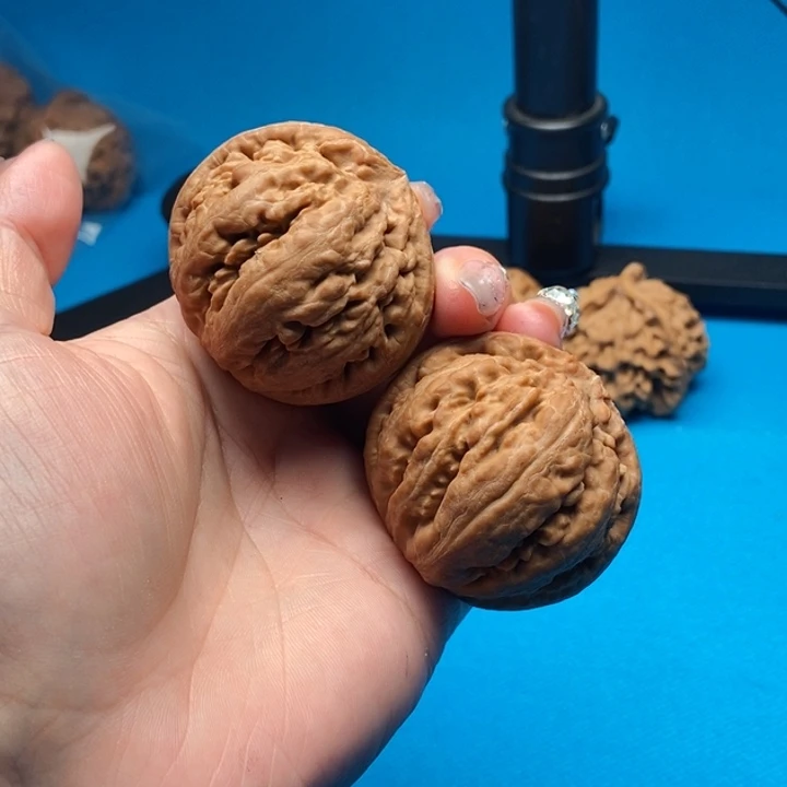 吊坠文玩核桃霸王龙全品