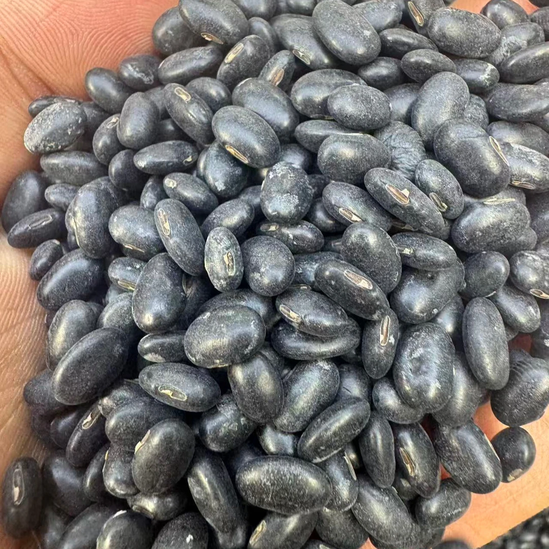 【小潘专属】肾形农家无抛光黑豆