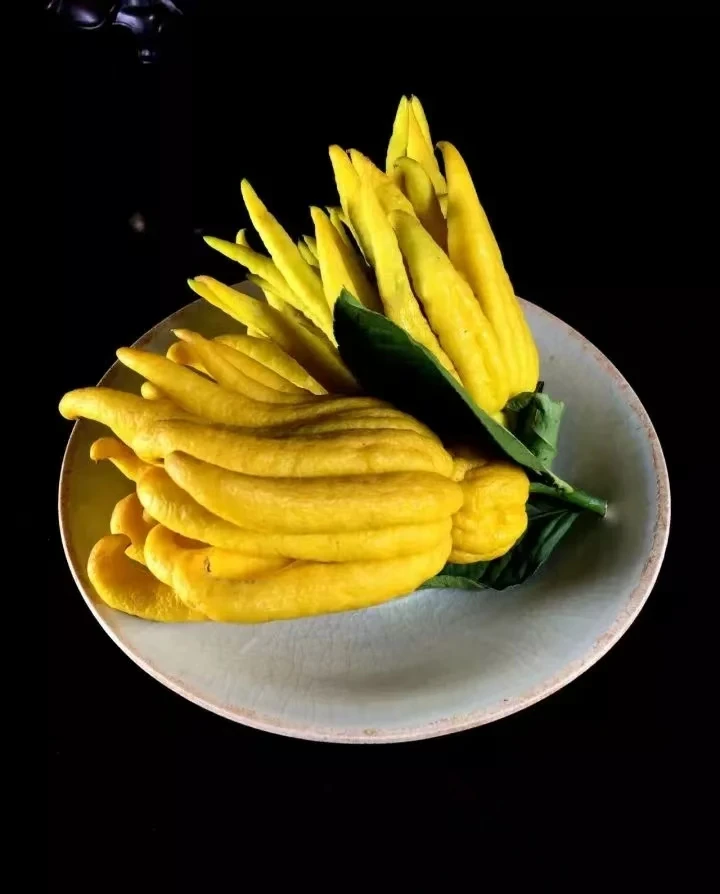 川佛手 纯天然香薰 闻香食用果 清供 把玩 （小果一颗50-100g）