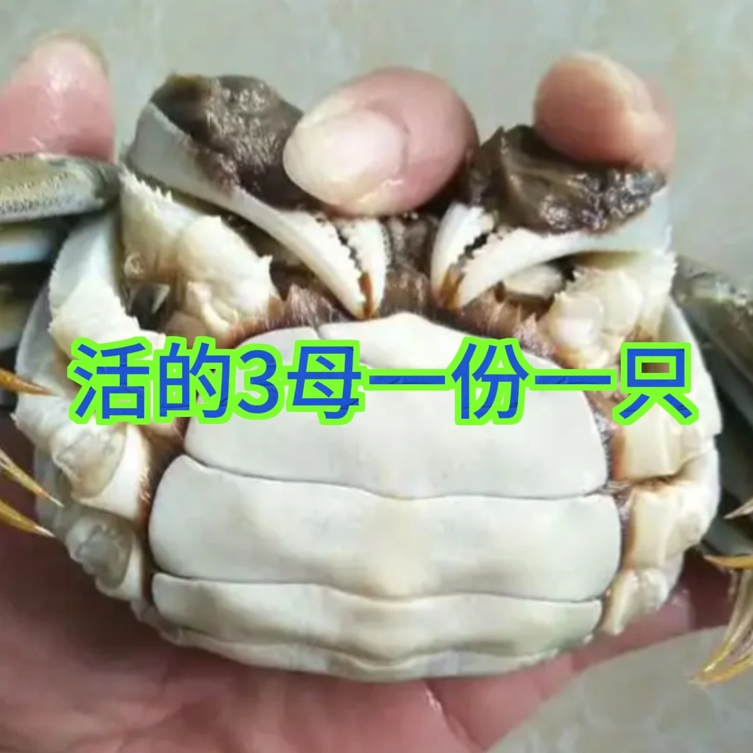 鲜活母蟹一份3.0的（其中一只2.8-3两左右）