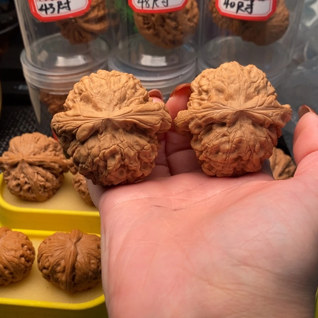 手串/手链橄榄核龙鼎52全品
