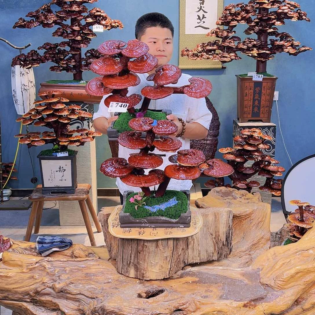 无花朵888888888888888888888