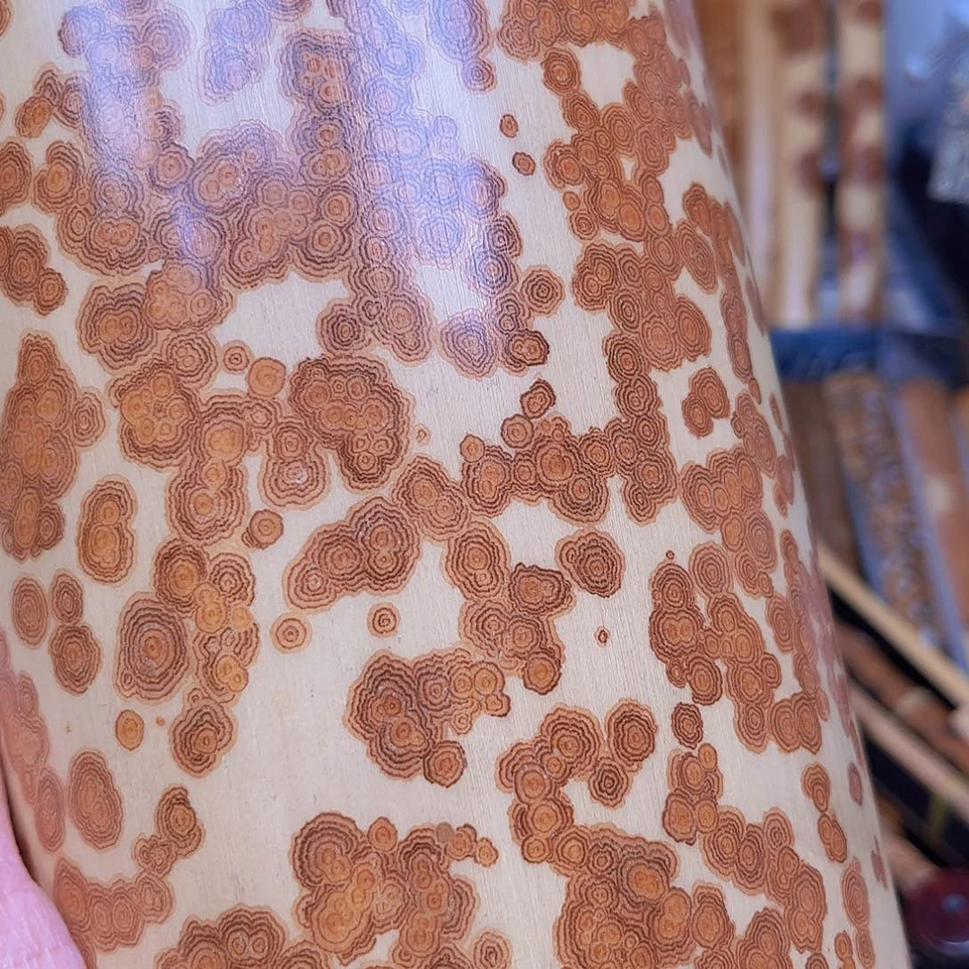 扇子泽****机这么多年我们也许没有