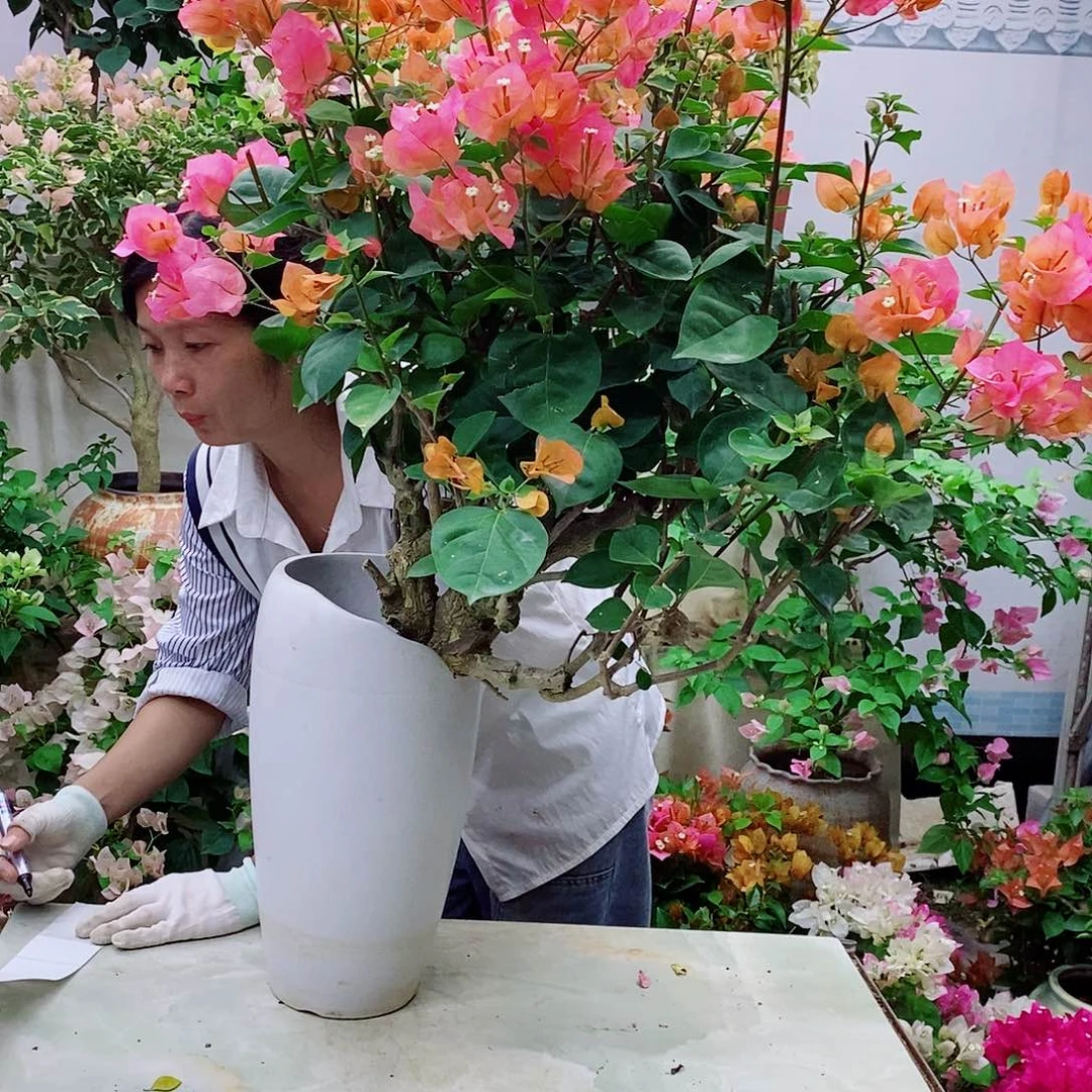 完全开放征**我我要好好学习