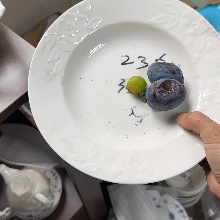 国营尾货骨瓷玉兰九汤盘一对