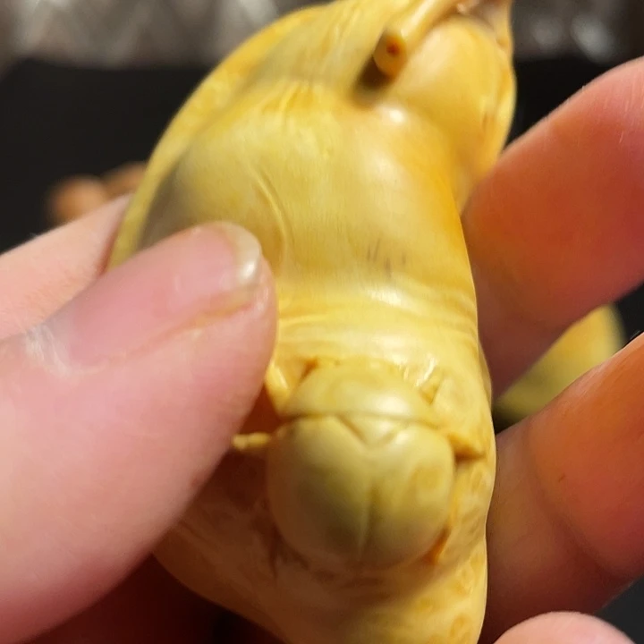 老***桂香榧木今天晚上你好大哥