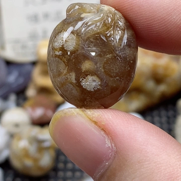 颈饰未镶嵌硅化珊瑚（珊瑚玉）小