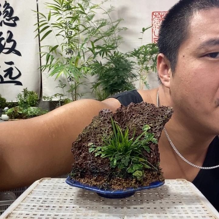 玲****无花朵退款拉黑拉黑242