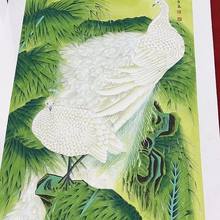 竖款晚上好，惊喜连连……
