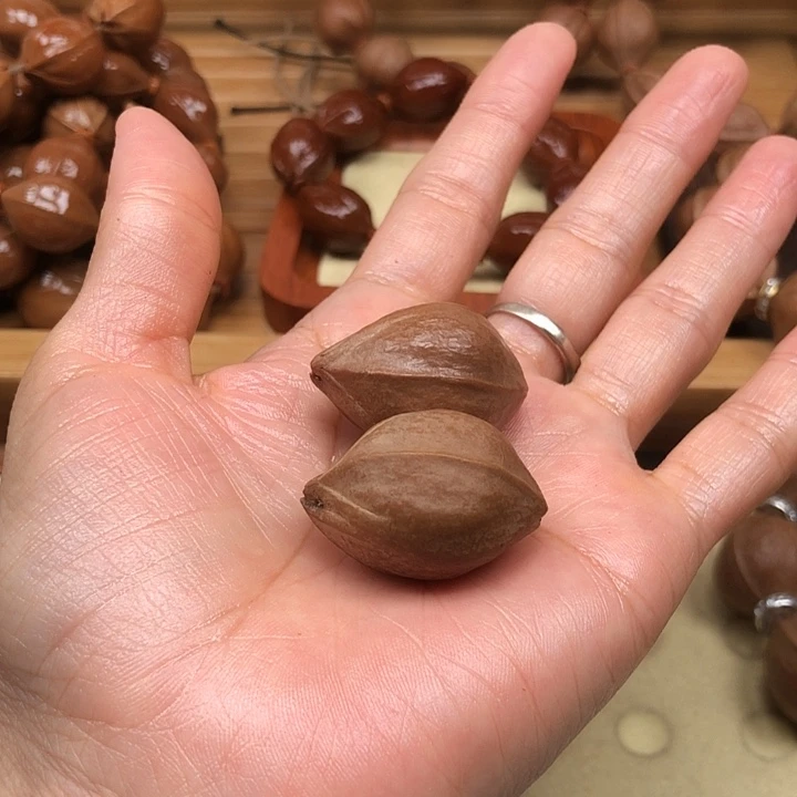 扫***的橄榄核手串梅林铁核21 X31