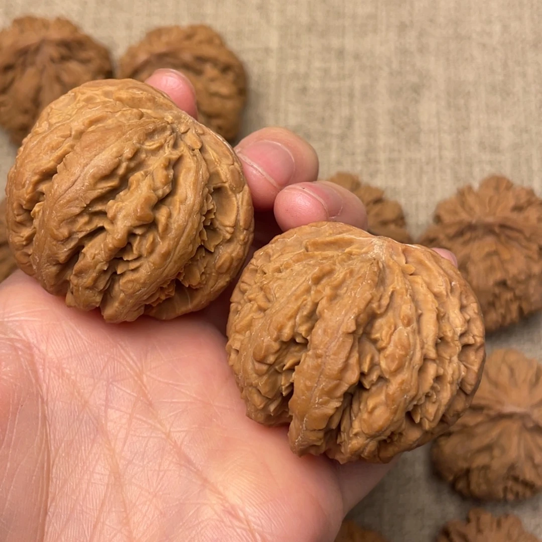 巴***莫核桃秦岭核桃39号