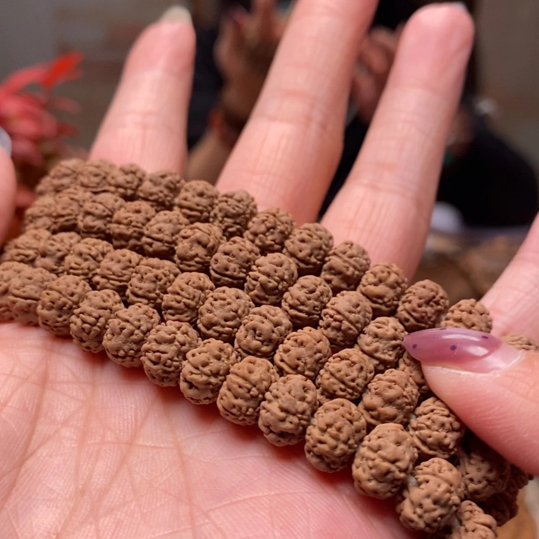 太***.菩提籽类树王长串