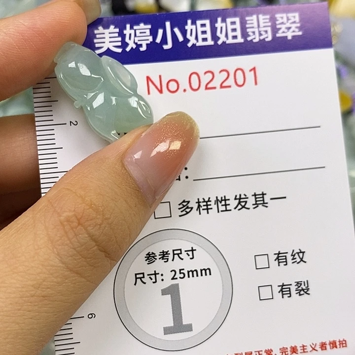 高***兴翡翠未镶嵌颈饰翡翠