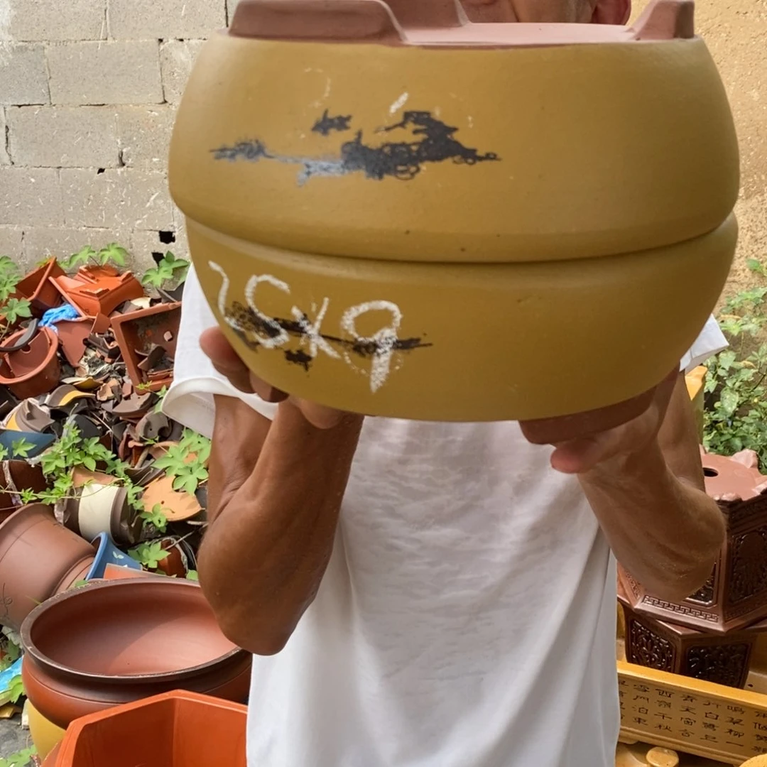 紫砂紫砂紫砂紫砂