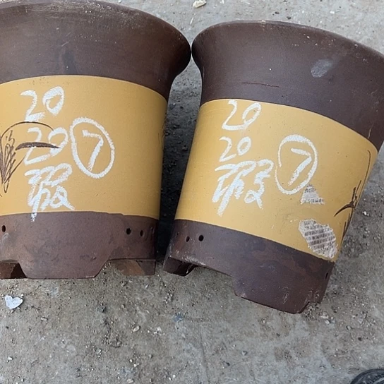 紫砂工艺厂……紫砂工艺厂……