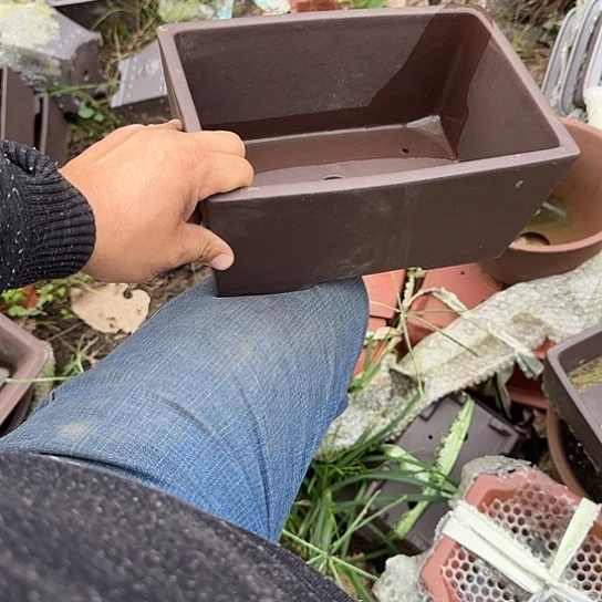 在家里等车回家我才放心啦你不回来吃饭啊