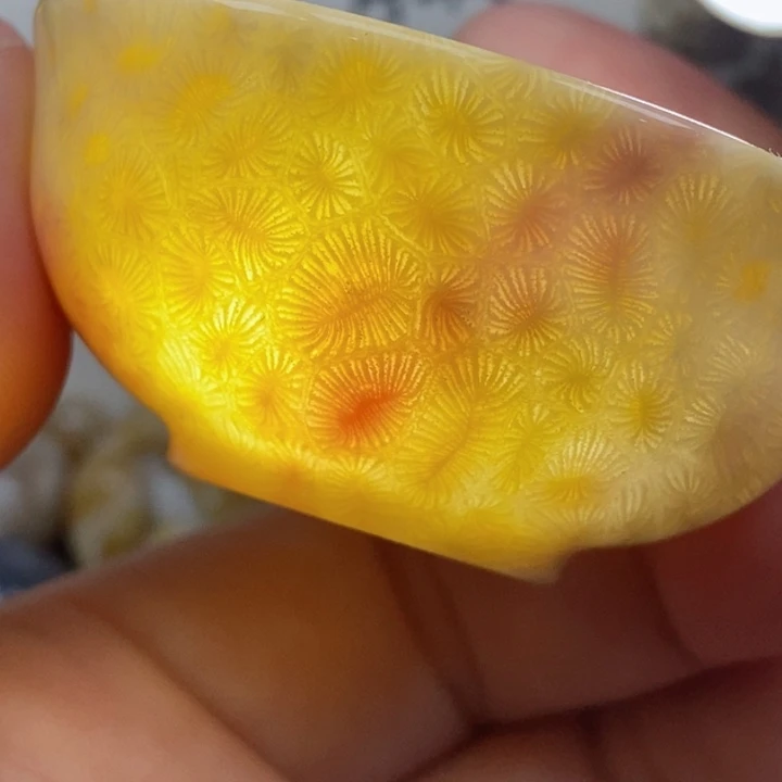 颈饰未镶嵌硅化珊瑚（珊瑚玉）