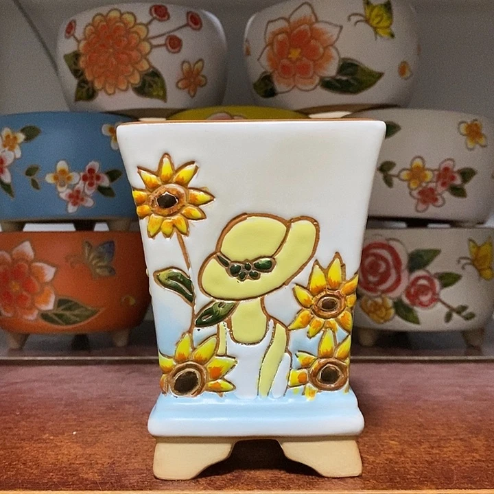 韩式多肉植物花盆